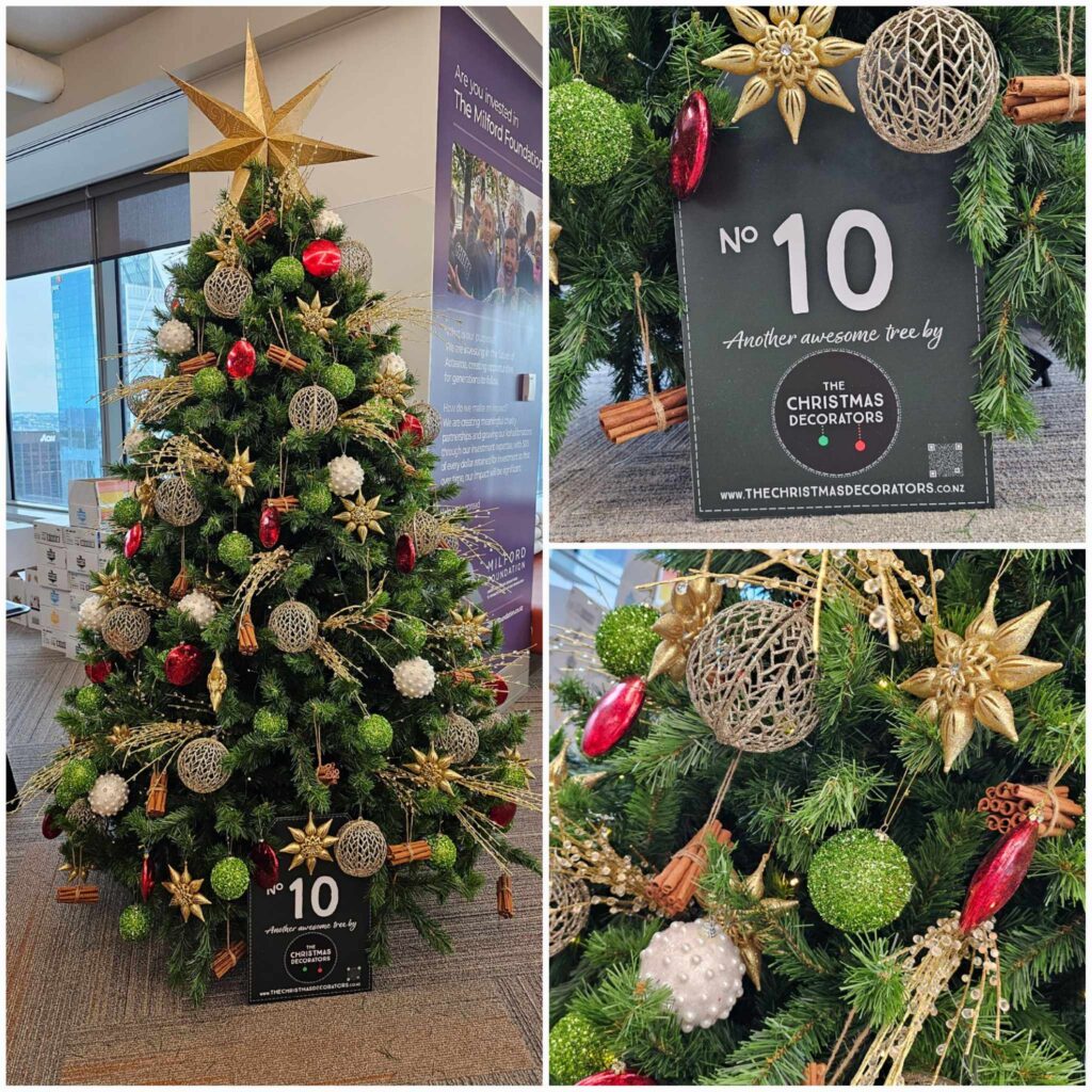 The Christmas Decorators Capture the Magic of Christmas!