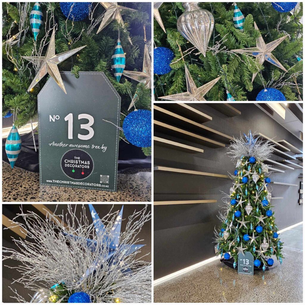 The Christmas Decorators Capture the Magic of Christmas!