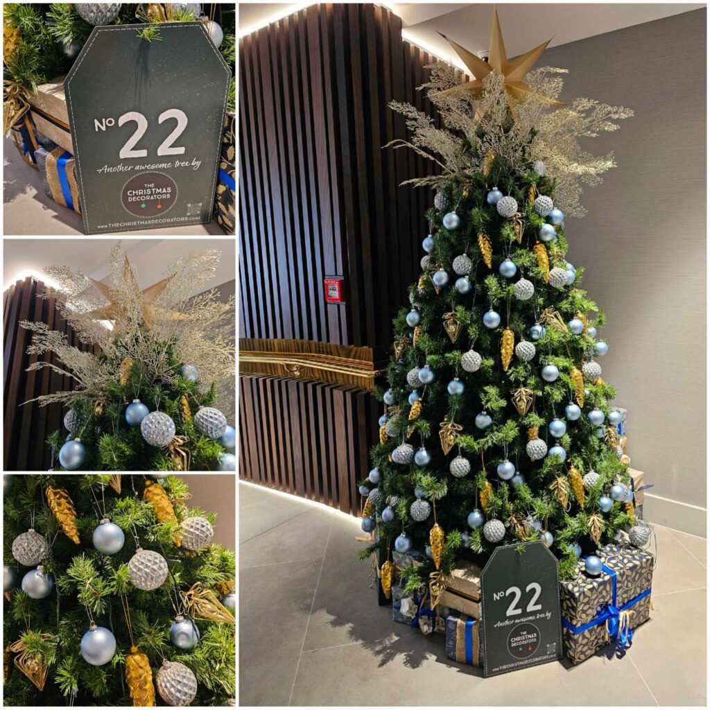 The Christmas Decorators Capture the Magic of Christmas!