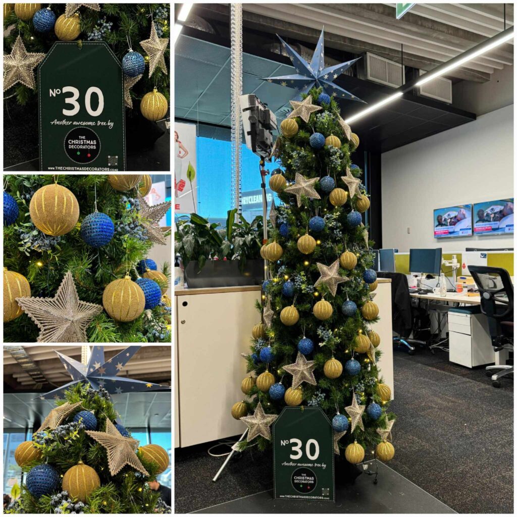 The Christmas Decorators Capture the Magic of Christmas!