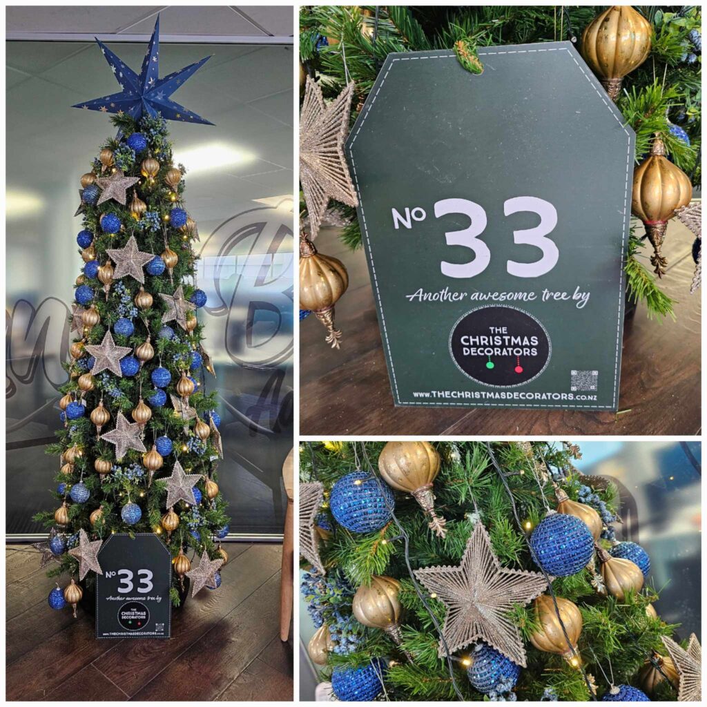 The Christmas Decorators Capture the Magic of Christmas!