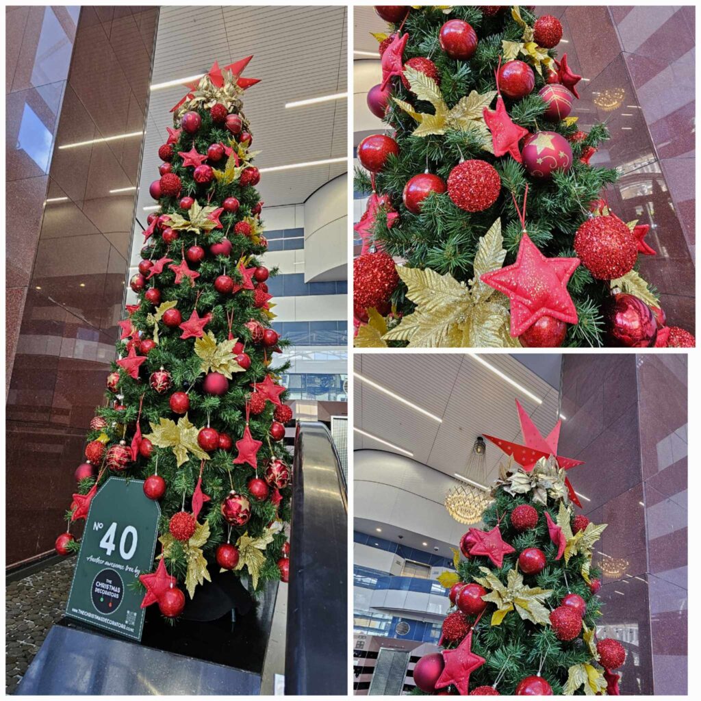 The Christmas Decorators Capture the Magic of Christmas!