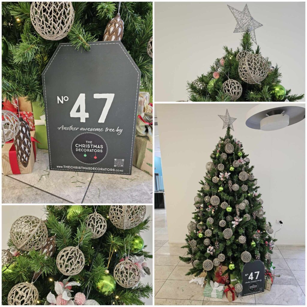 The Christmas Decorators Capture the Magic of Christmas!