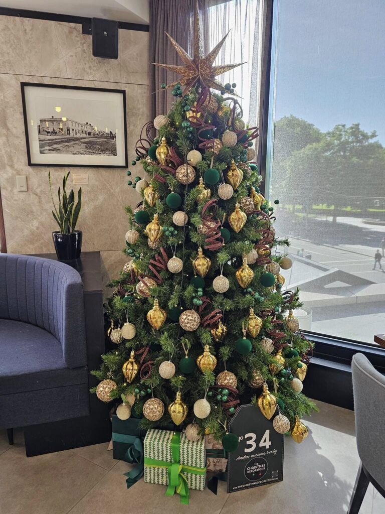 The Christmas Decorators ... 2024 Christmas Tree #34 Christchurch