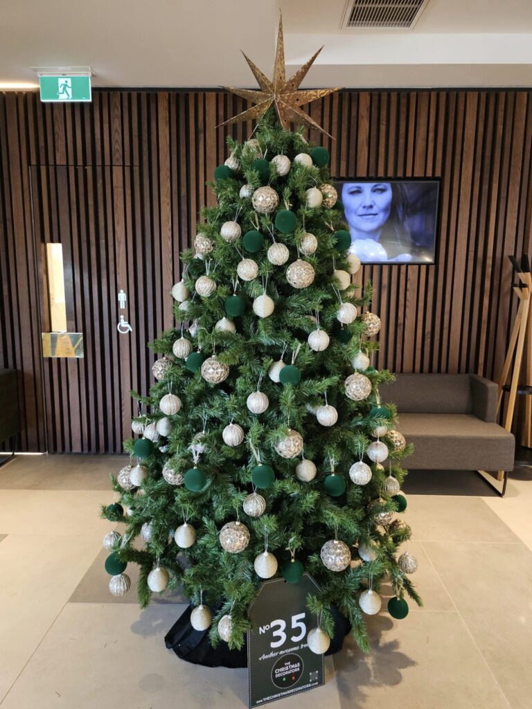 The Christmas Decorators ... 2024 Christmas Tree #35 Christchurch