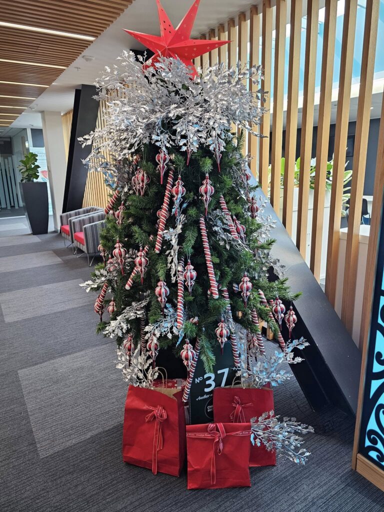 The Christmas Decorators ... 2024 Christmas Tree #37 Christchurch