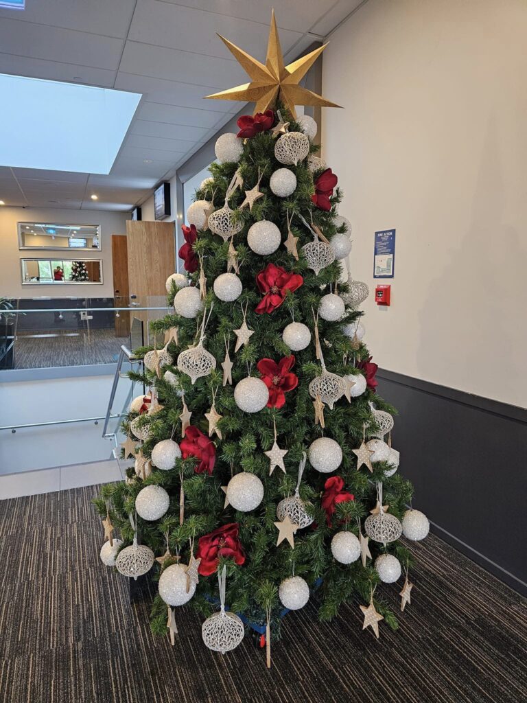The Christmas Decorators ... 2024 Christmas Tree #42 Christchurch