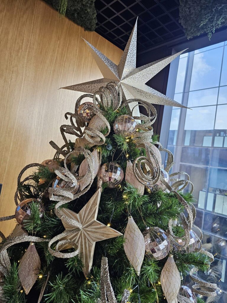 The Christmas Decorators ... 2024 Christmas Tree #48 Wellington