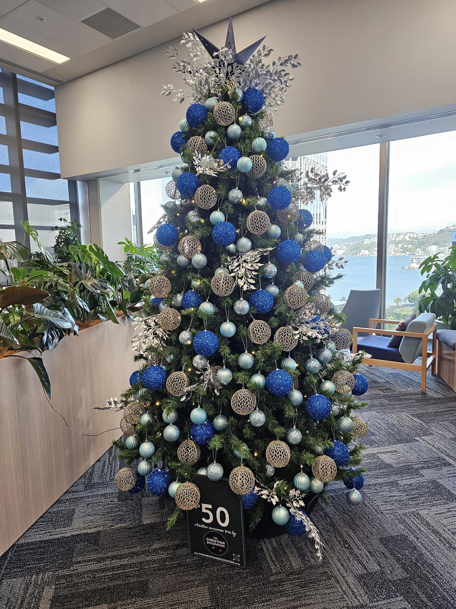 The Christmas Decorators 2024 ... Christmas Tree #50 Wellington