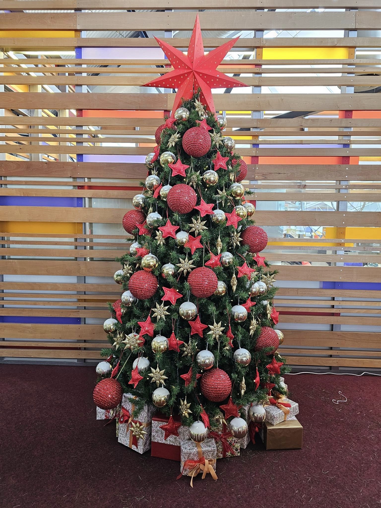 The Christmas Decorators 2024 ... Christmas Tree #52 Wellington