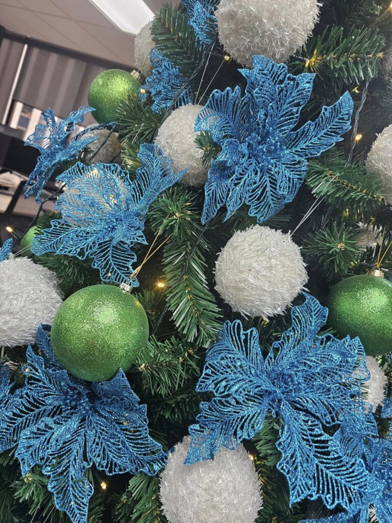The Christmas Decorators 2024 ... Christmas Tree #54 Wellington