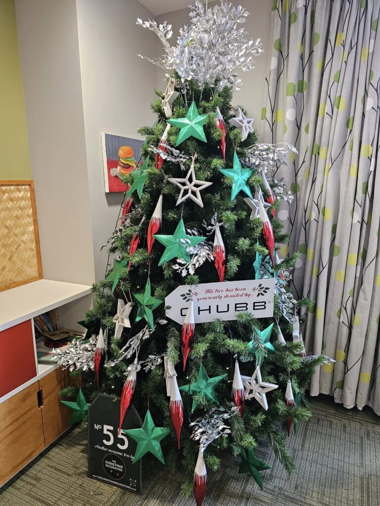 The Christmas Decorators ... 2024 Christmas Tree #55 Wellington