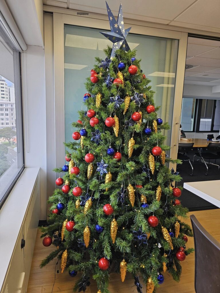 The Christmas Decorators ... 2024 Christmas Tree #58 Wellington