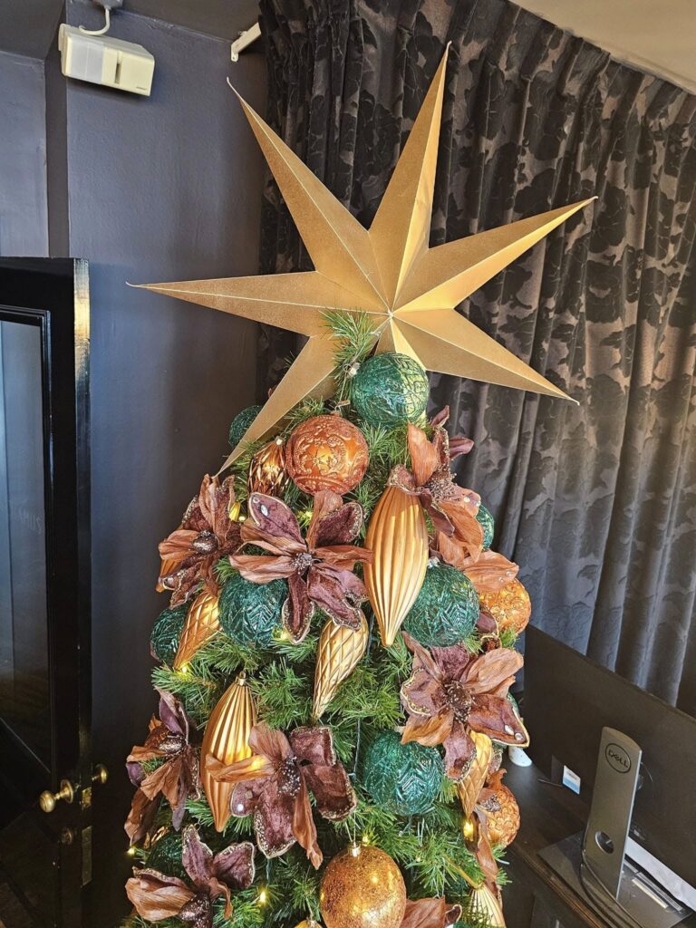 The Christmas Decorators ... 2024 Christmas Tree #62 Wellington