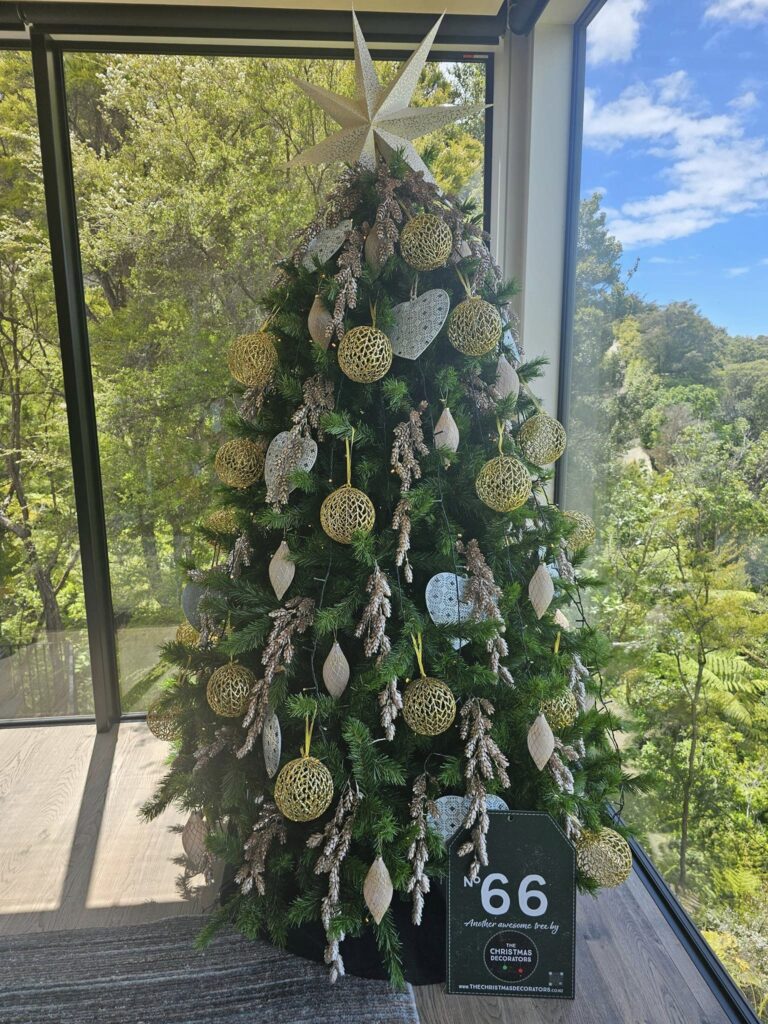 The Christmas Decorators 2024 ... Christmas Tree #66 Kaiteriteri