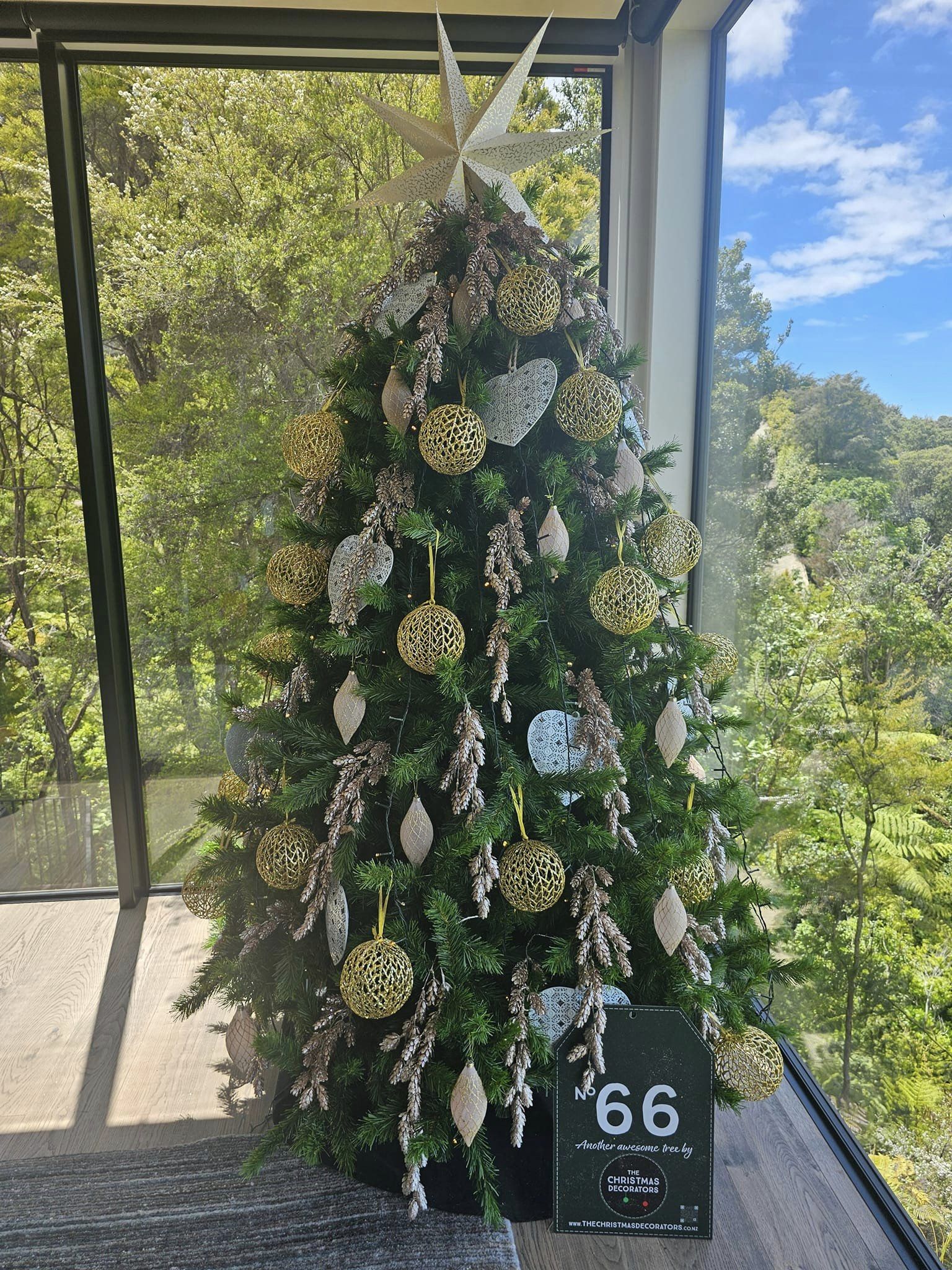The Christmas Decorators 2024 ... Christmas Tree #66 Kaiteriteri