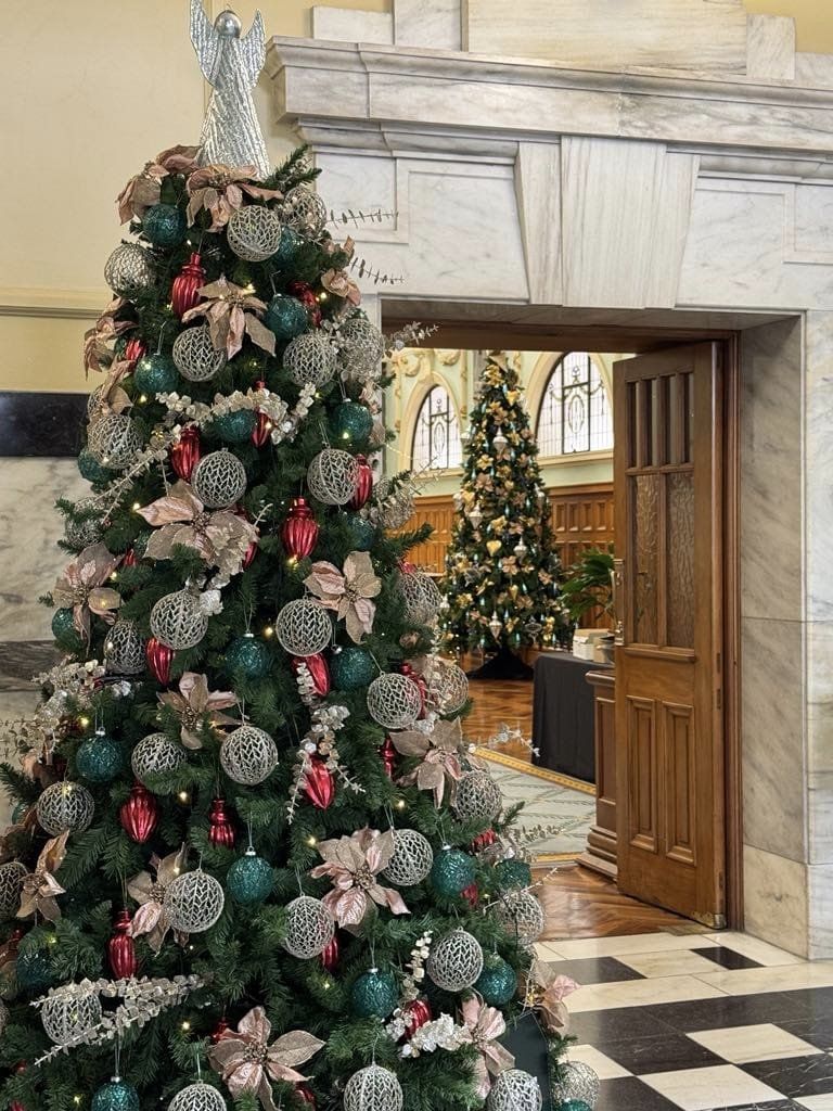The Christmas Decorators 2024 ... Christmas Trees #67 and #68 Wellington