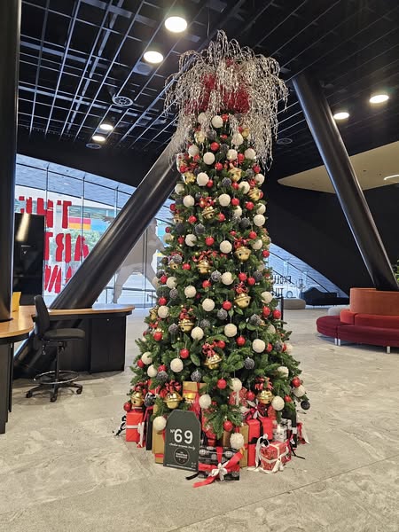 The Christmas Decorators ... 2024 Christmas Tree #69 Wellington