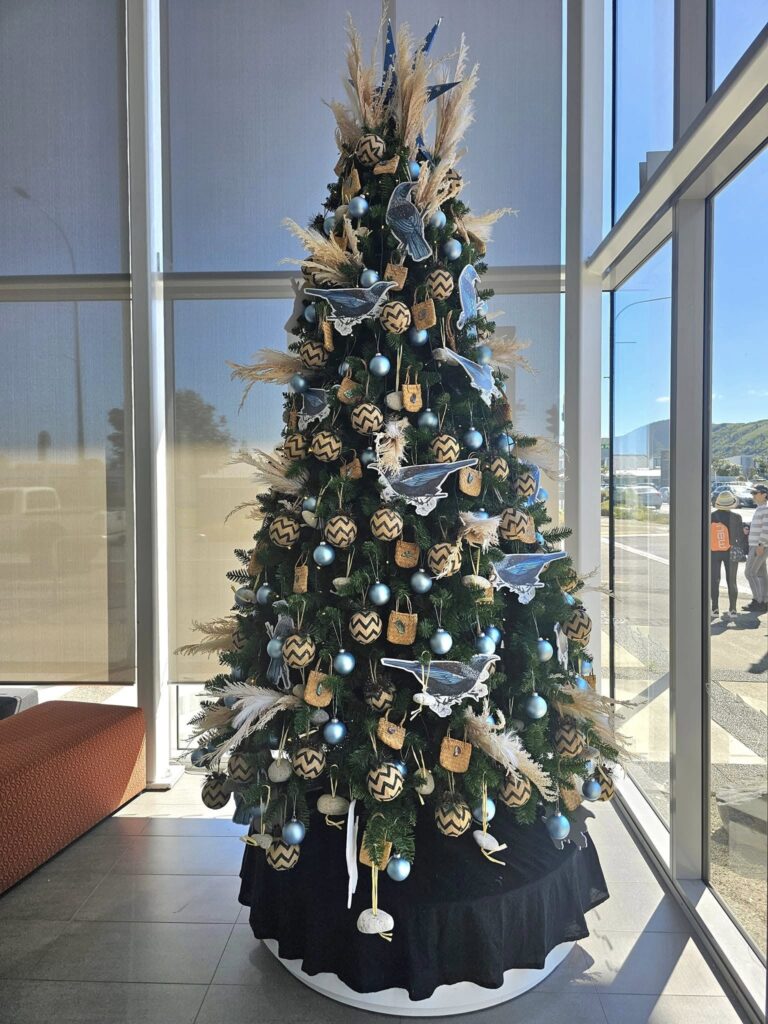 The Christmas Decorators ... 2024 Christmas Tree #72 Kapiti Coast