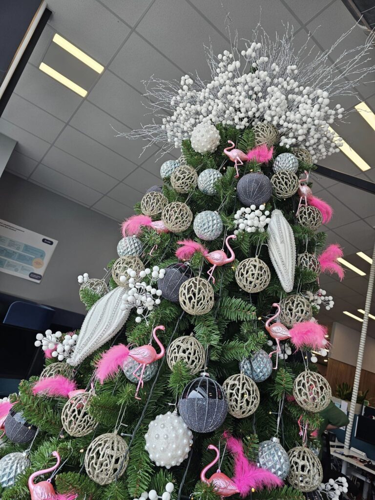 The Christmas Decorators ... 2024 Christmas Tree #73 Palmerston North